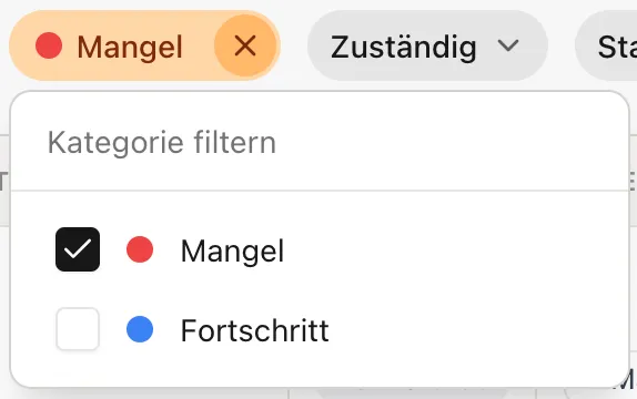 Kategorie-Filter im Projekt-Verlauf, eingestellt auf die Kategorie „Mangel“